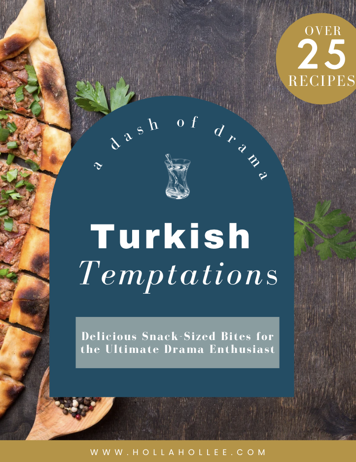 Turkish Temptations recipe book cover — over 25 recipes